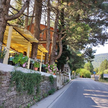 Dukat Hotel Toni Llogora מראה חיצוני תמונה