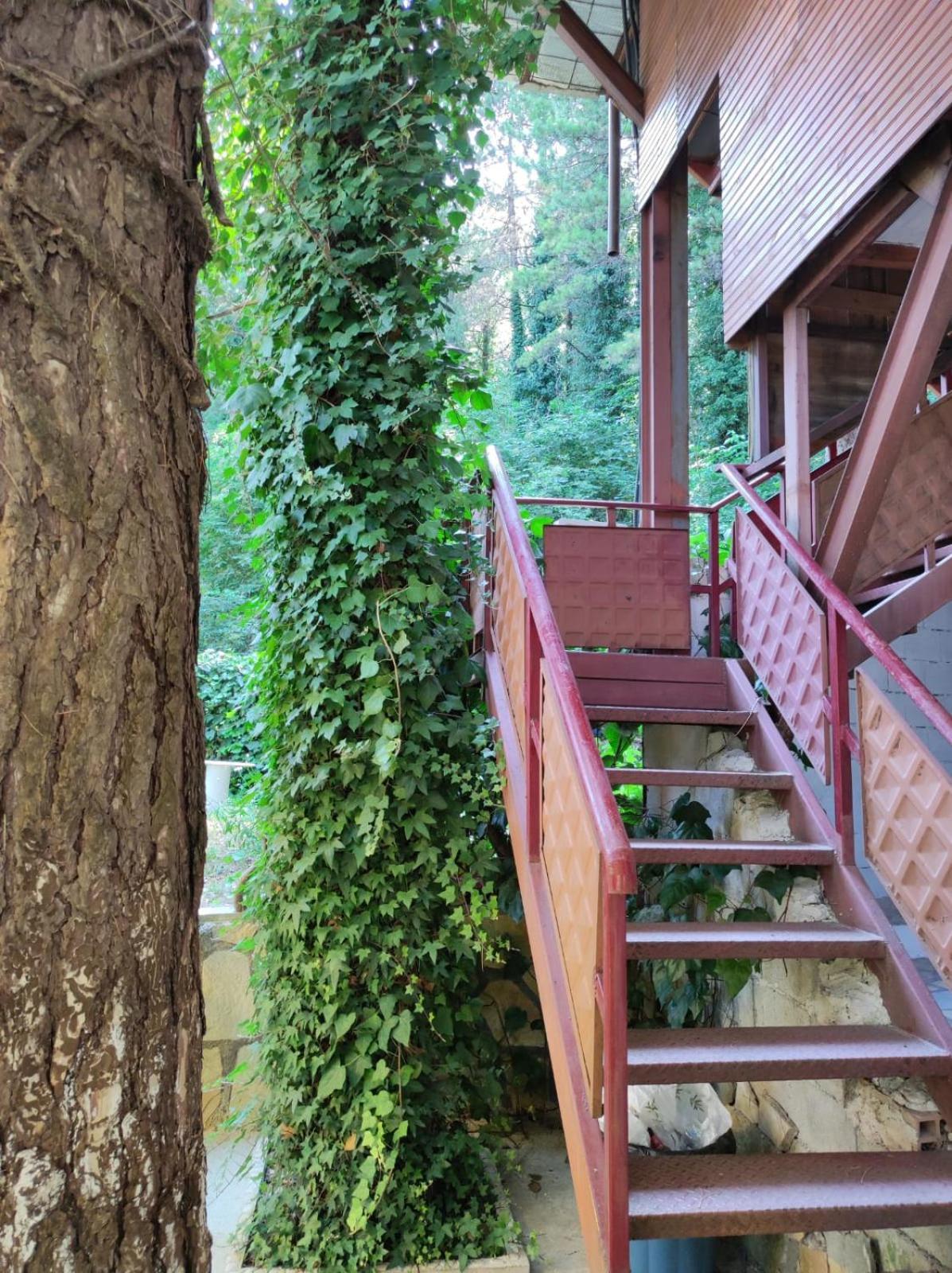 Dukat Hotel Toni Llogora מראה חיצוני תמונה